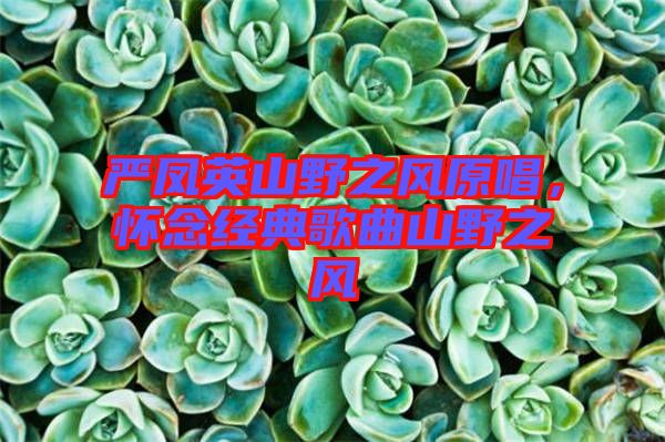 嚴鳳英山野之風原唱，懷念經典歌曲山野之風