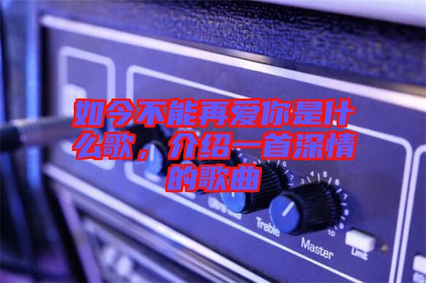 如今不能再愛(ài)你是什么歌，介紹一首深情的歌曲