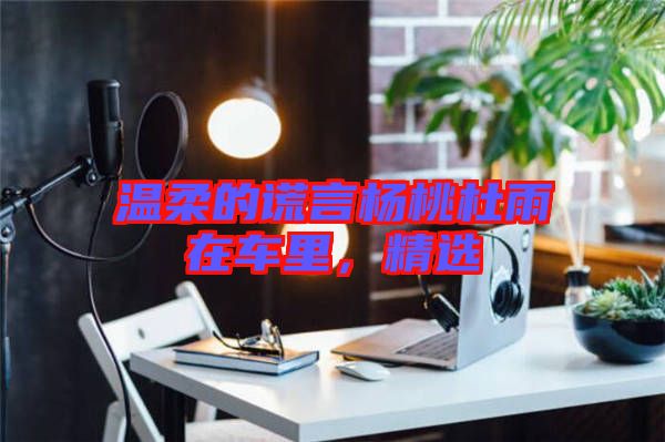 溫柔的謊言楊桃杜雨在車?yán)?，精選