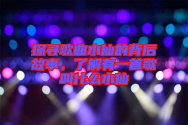 探尋歌曲水仙的背后故事，了解有一首歌叫什么水仙