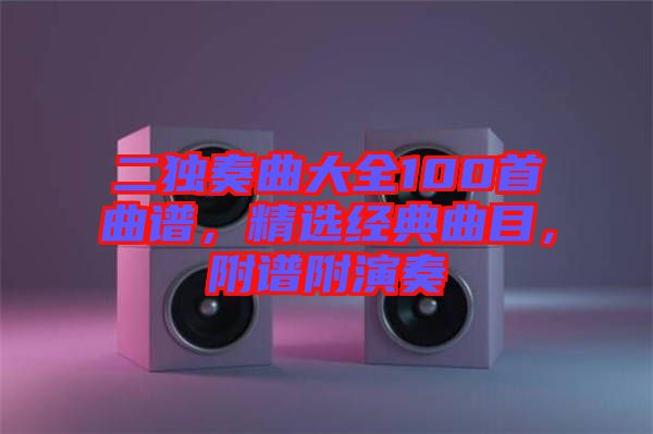二獨奏曲大全100首曲譜，精選經典曲目，附譜附演奏