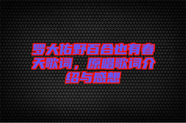 羅大佑野百合也有春天歌詞，原唱歌詞介紹與感想