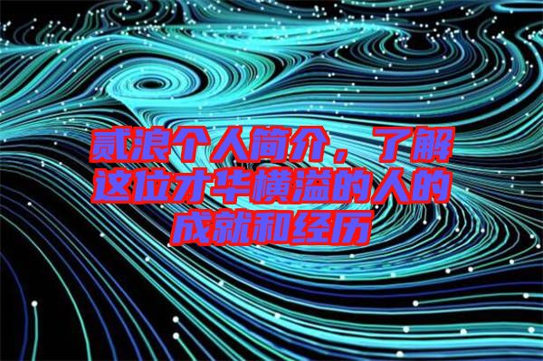 貳浪個(gè)人簡介，了解這位才華橫溢的人的成就和經(jīng)歷