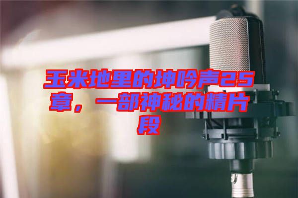 玉米地里的坤吟聲25章，一部神秘的精片段