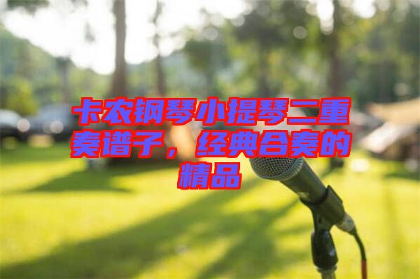 卡農鋼琴小提琴二重奏譜子，經典合奏的精品