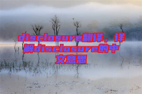 disclosure翻譯，詳解disclosure的中文意思