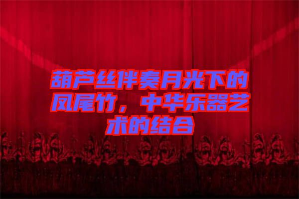 葫蘆絲伴奏月光下的鳳尾竹，中華樂器藝術(shù)的結(jié)合