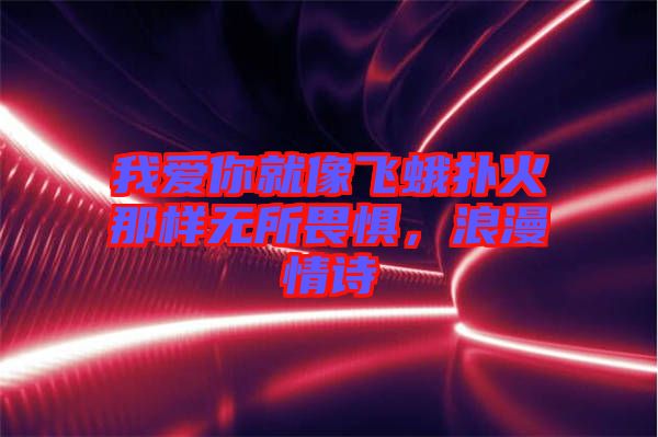 我愛你就像飛蛾撲火那樣無所畏懼，浪漫情詩