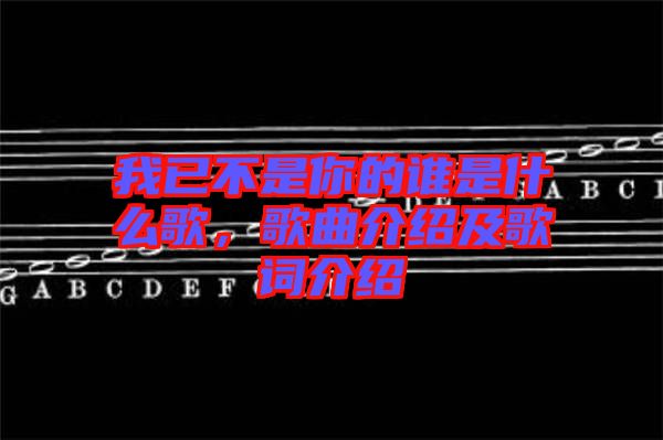 我已不是你的誰(shuí)是什么歌，歌曲介紹及歌詞介紹