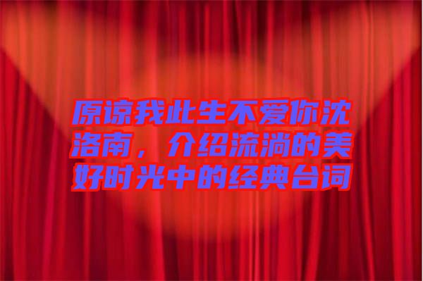 原諒我此生不愛你沈洛南，介紹流淌的美好時光中的經典臺詞