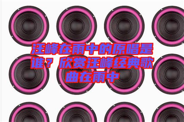 汪峰在雨中的原唱是誰？欣賞汪峰經典歌曲在雨中