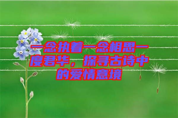 一念執(zhí)著一念相思一度君華，探尋古詩中的愛情意境