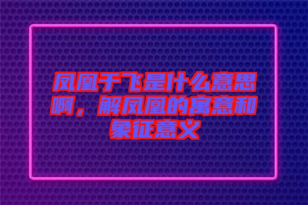 鳳凰于飛是什么意思啊，解鳳凰的寓意和象征意義