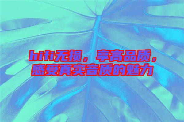 hifi無損，享高品質，感受真實音質的魅力