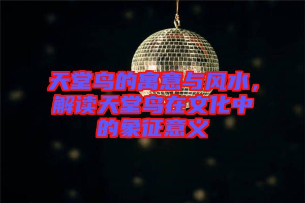 天堂鳥的寓意與風水，解讀天堂鳥在文化中的象征意義