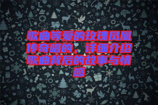歌曲等愛的玫瑰鳳凰傳奇唱的，詳細介紹歌曲背后的故事與情感
