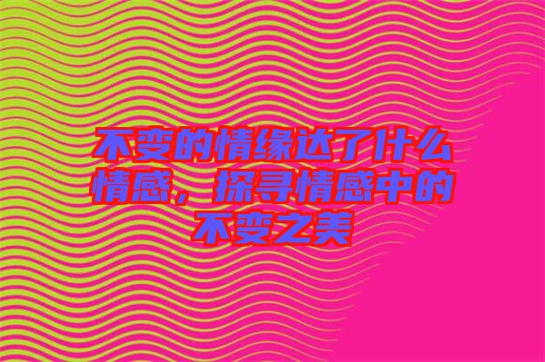 不變的情緣達了什么情感，探尋情感中的不變之美