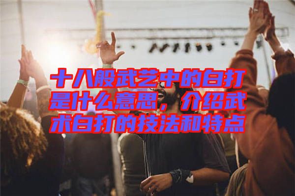 十八般武藝中的白打是什么意思，介紹武術白打的技法和特點