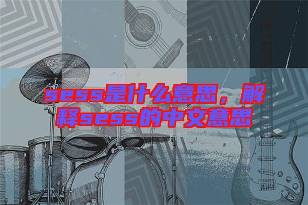 sess是什么意思，解釋sess的中文意思