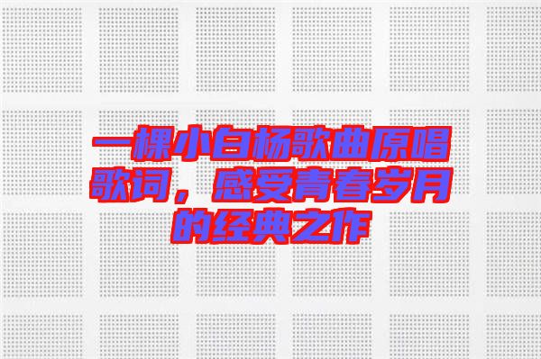 一棵小白楊歌曲原唱歌詞，感受青春歲月的經典之作