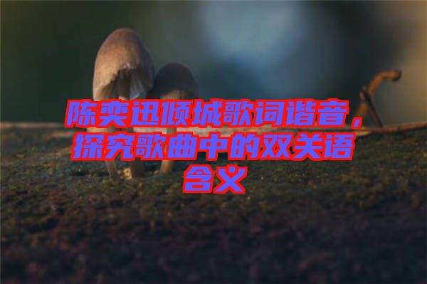 陳奕迅傾城歌詞諧音，探究歌曲中的雙關(guān)語(yǔ)含義