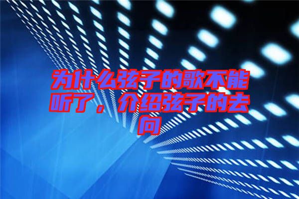 為什么弦子的歌不能聽了，介紹弦子的去向