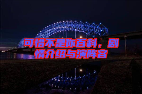 可惜不是你百科，劇情介紹與演陣容