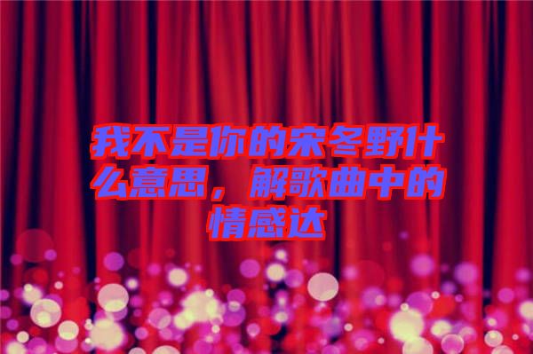 我不是你的宋冬野什么意思，解歌曲中的情感達