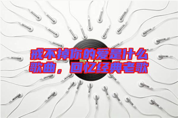 戒不掉你的愛是什么歌曲，回憶經典老歌
