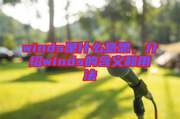 winds是什么意思，介紹winds的含義和用法