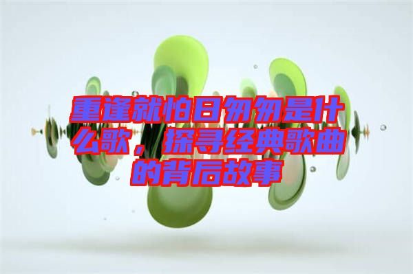 重逢就怕日匆匆是什么歌，探尋經典歌曲的背后故事