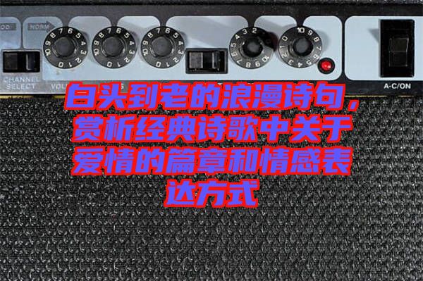 白頭到老的浪漫詩句，賞析經典詩歌中關于愛情的篇章和情感表達方式