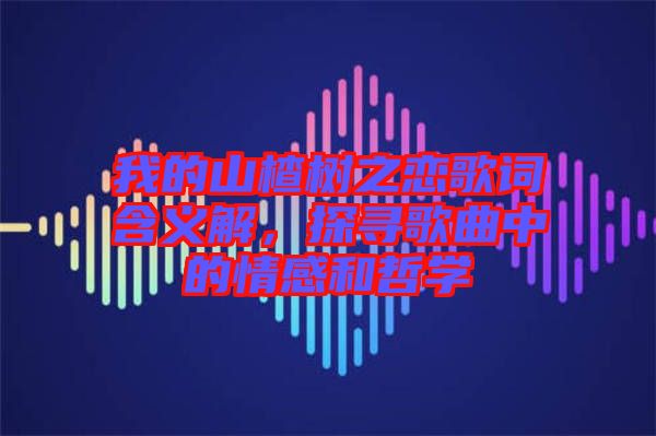 我的山楂樹(shù)之戀歌詞含義解，探尋歌曲中的情感和哲學(xué)