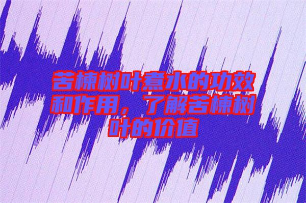 苦楝樹葉煮水的功效和作用，了解苦楝樹葉的價值