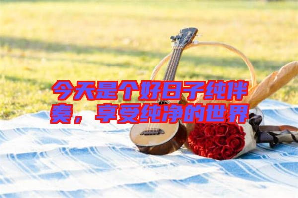 今天是個好日子純伴奏，享受純凈的世界
