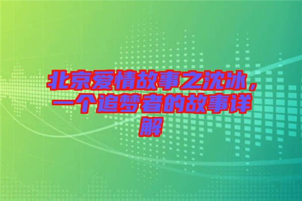 北京愛情故事之沈冰，一個追夢者的故事詳解