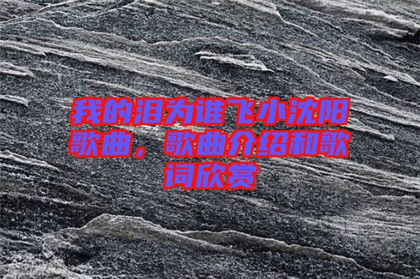 我的淚為誰飛小沈陽歌曲，歌曲介紹和歌詞欣賞