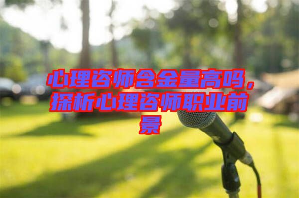 心理咨師含金量高嗎，探析心理咨師職業前景