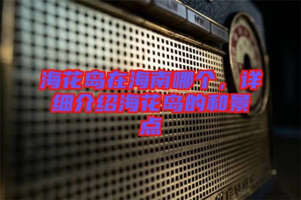?；◢u在海南哪個，詳細(xì)介紹海花島的和景點