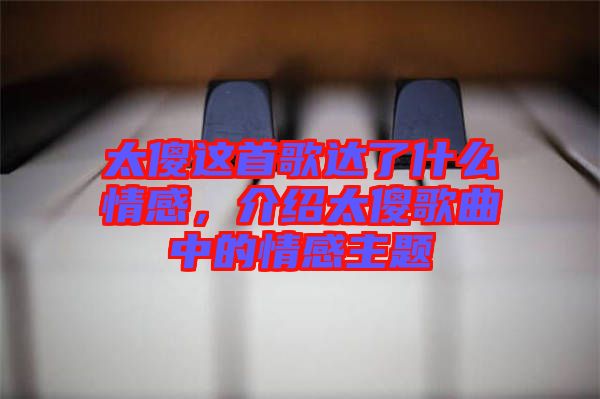 太傻這首歌達了什么情感，介紹太傻歌曲中的情感主題