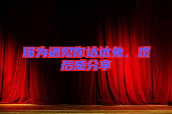 因為遇見你達達兔，觀后感分享