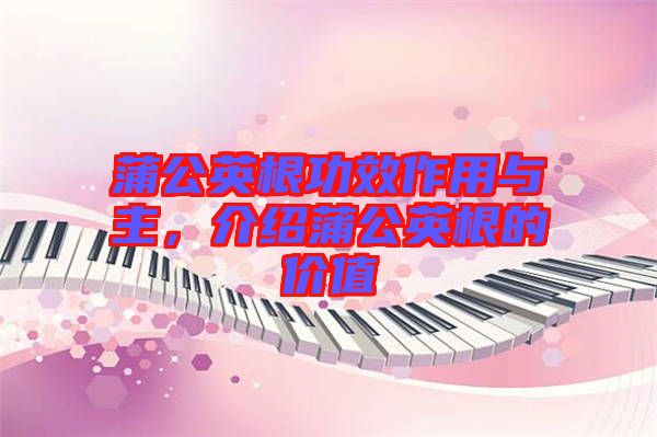 蒲公英根功效作用與主，介紹蒲公英根的價值