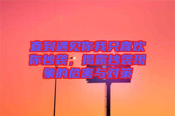 直到遇見你我只喜歡你抄襲，揭露抄襲現(xiàn)象的危害與對策