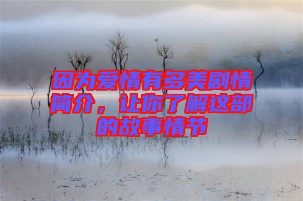 因為愛情有多美劇情簡介，讓你了解這部的故事情節(jié)