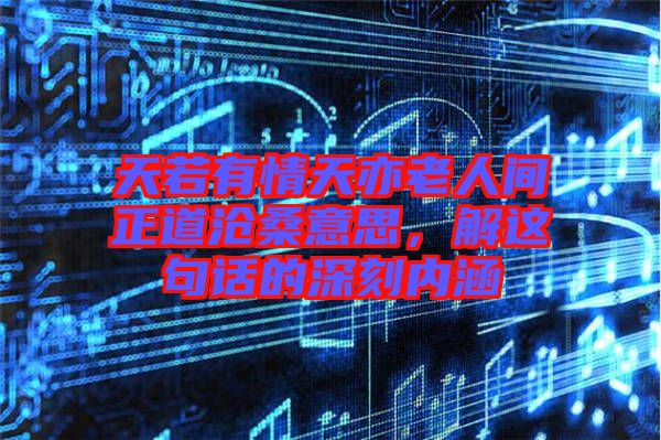 天若有情天亦老人間正道滄桑意思，解這句話的深刻內涵