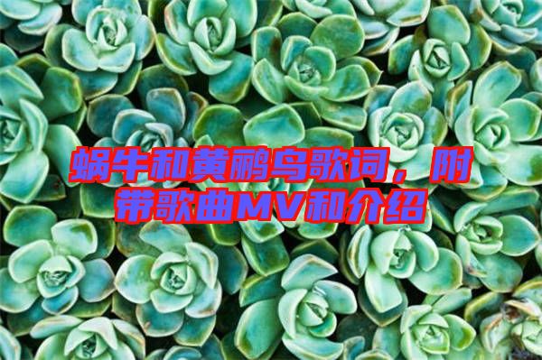 蝸牛和黃鸝鳥(niǎo)歌詞，附帶歌曲MV和介紹