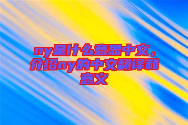 ny是什么意思中文，介紹ny的中文翻譯和意義