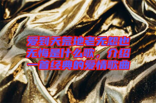 愛到天荒地老無怨也無悔是什么歌，介紹一首經典的愛情歌曲