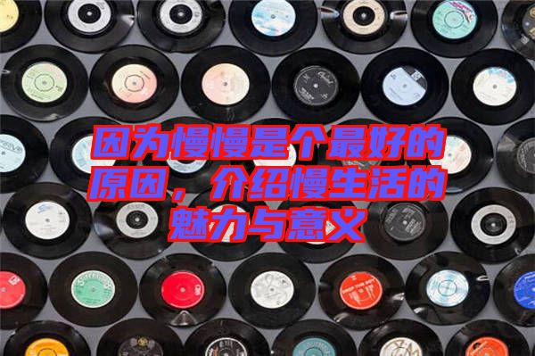 因?yàn)槁莻€(gè)最好的原因，介紹慢生活的魅力與意義