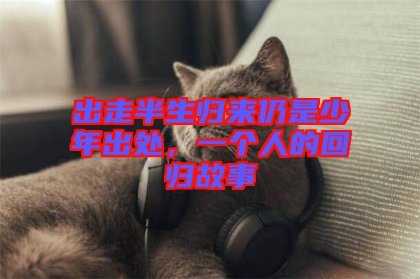 出走半生歸來仍是少年出處，一個人的回歸故事